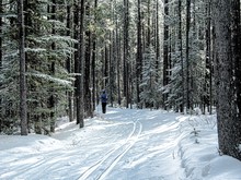 Photo courtesy Crowsnest Pass Nordic Ski Club